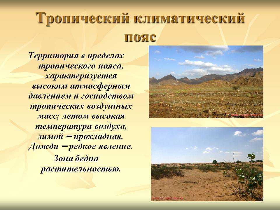 Что такое тропики