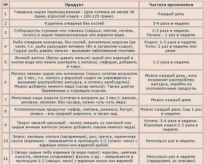 Чем кормить котёнка в 1, 2, 3 месяца и далее — pet-mir.ru