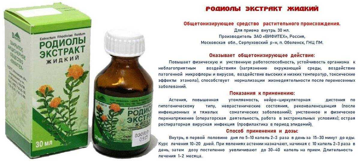Золотой корень (родиола розовая): лечебные свойства, применение, противопоказания | азбука здоровья