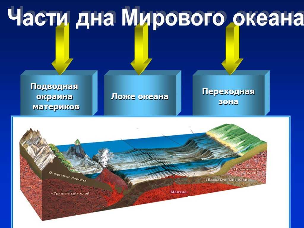 Рельеф дна тихого океана: строение, описание, характеристики, впадины и хребты, особенности