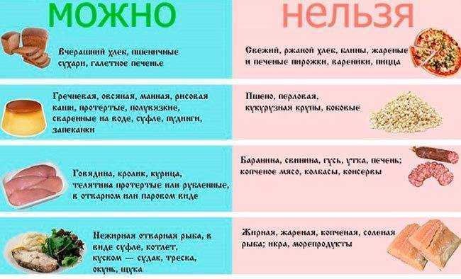 Чем кормить чихуахуа