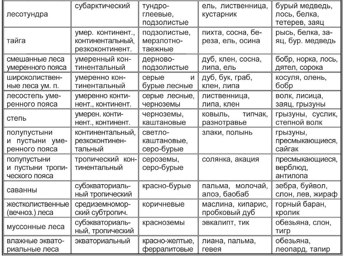 Описание климата экваториального климатического пояса - profanswer.ru