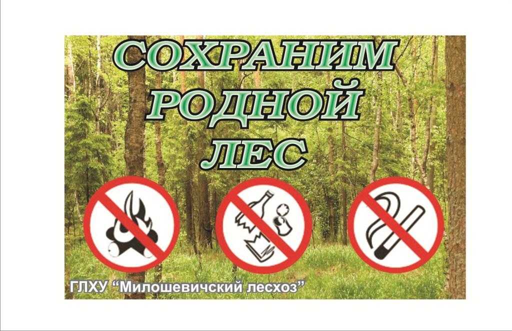 Охрана лесов