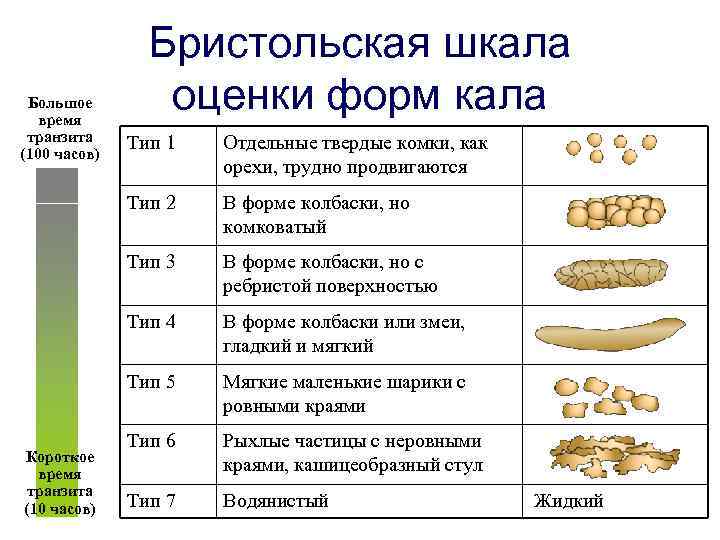 Белый кал у собаки — причины появления светлых какашек