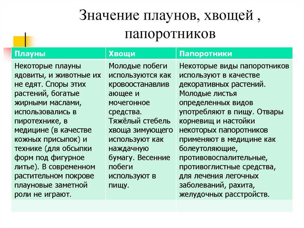Царство растения (мхи, папоротники, голосеменные) | многообразие и систематика органического мира | теория | решутест. продвинутый тренажёр тестов