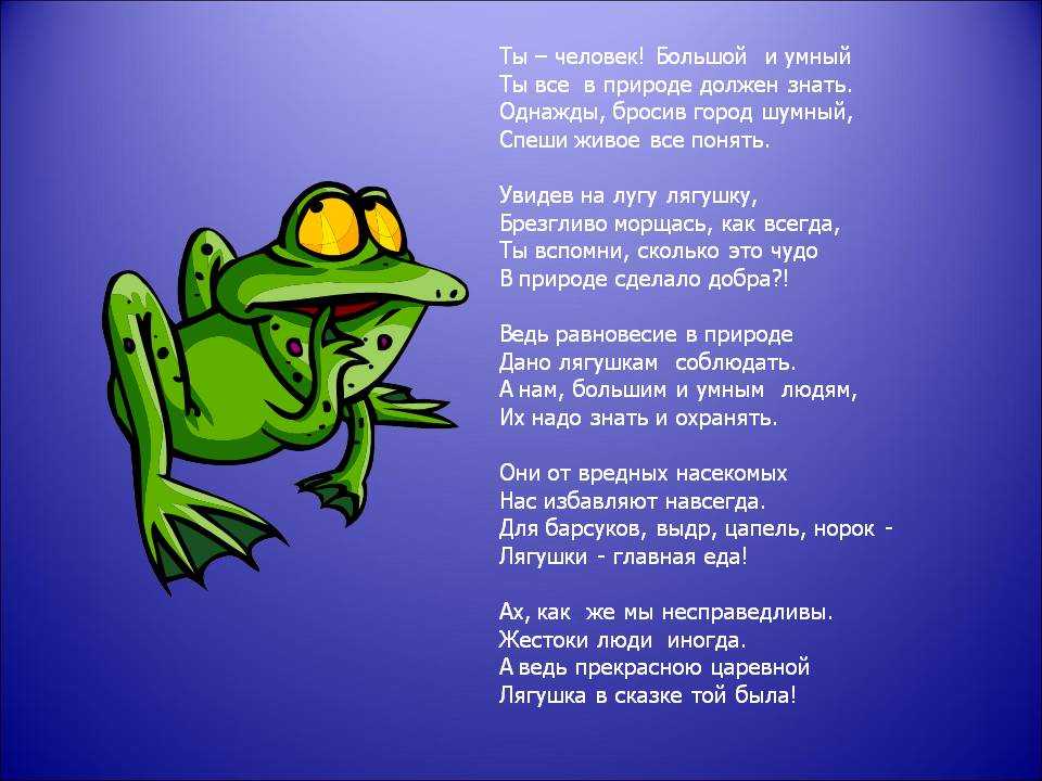 Почему лягушки квакают вечером. почему лягушки квакают