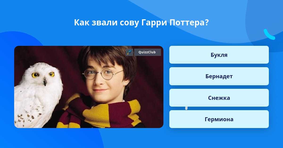 Как назвать сову? - вопросник.про