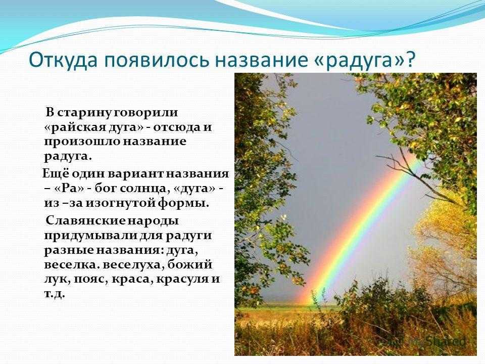 Радуга: что это такое, как появляется, виды, интересные факты
