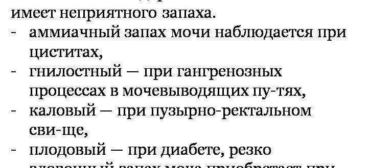 От кошки воняет ацетоном - кошки и собаки простыми словами