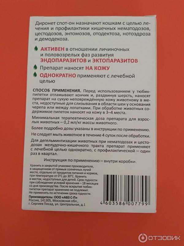 Как дирофен для кошек уничтожает глистов