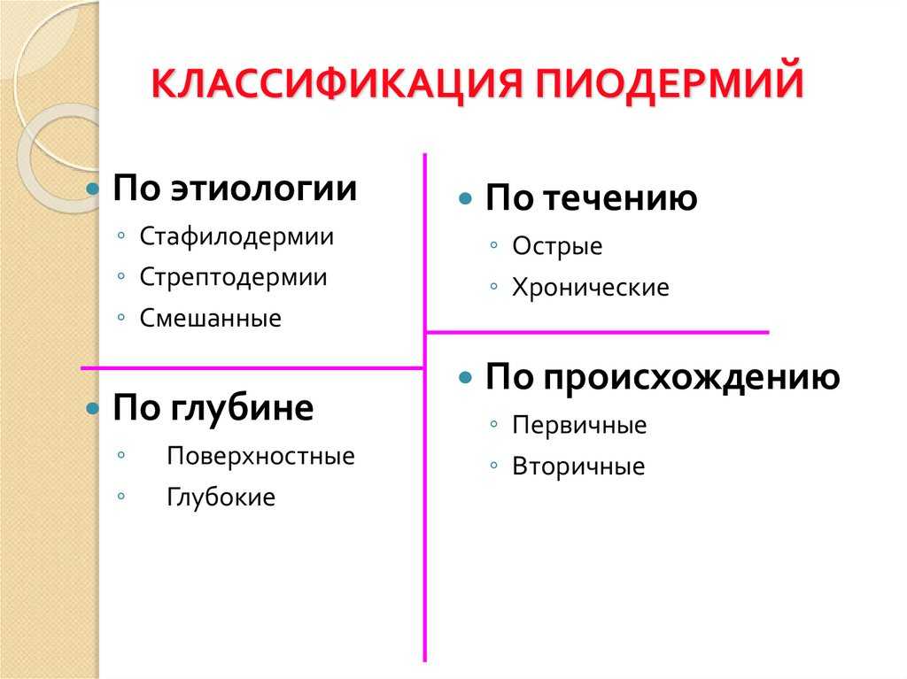 ᐉ пиодермия - как лечить у собак - ➡ motildazoo.ru