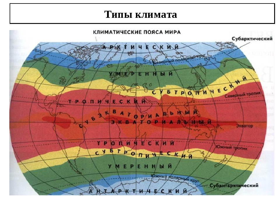 Что такое тропики и субтропики?