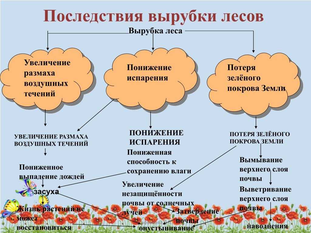 Вырубка лесов как экологическая проблема: последствия и пути решения | обу «цсзн по елецкому району» — областное бюджетное учреждение «центр социальной защиты населения по елецкому району»