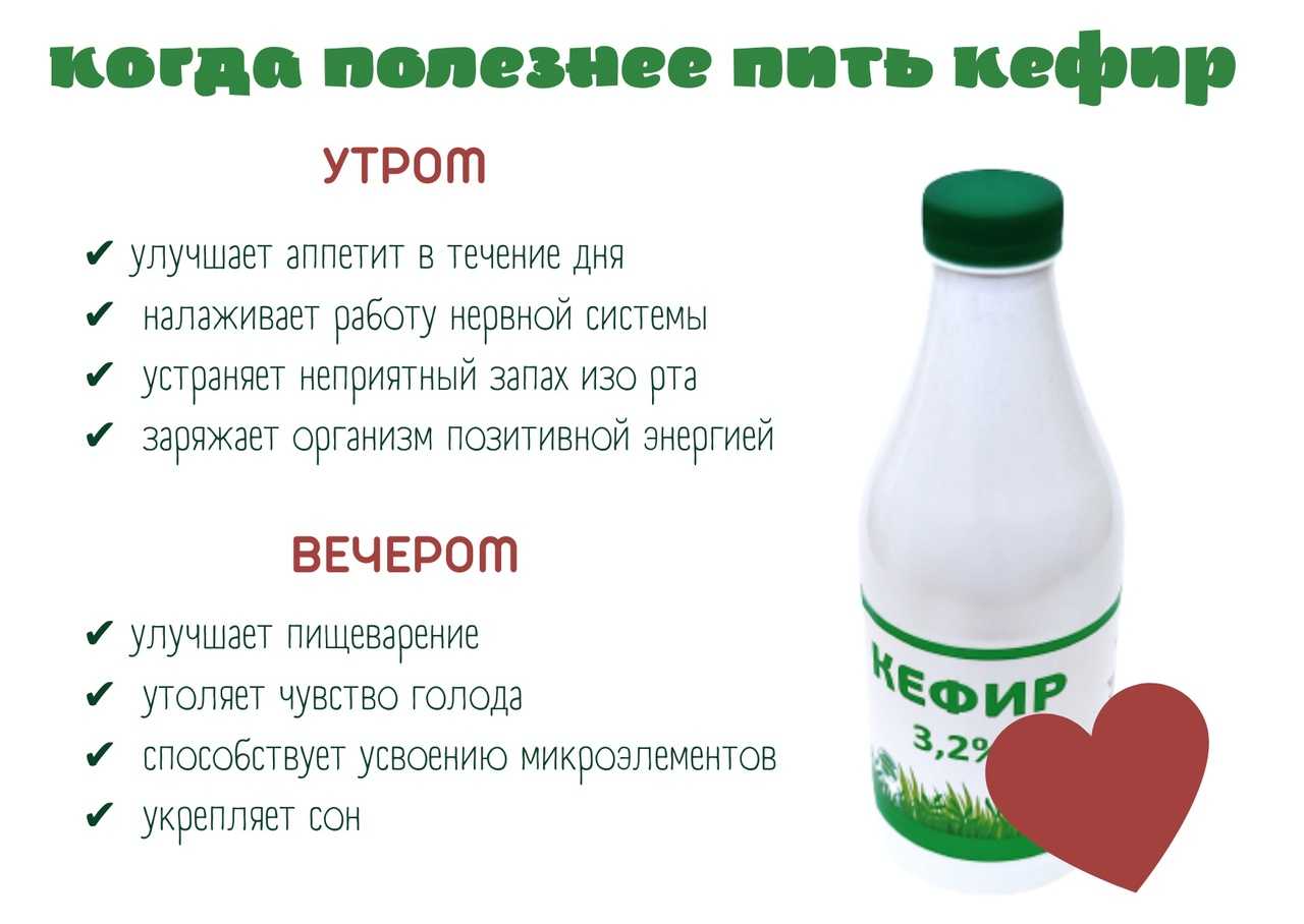 Чем можно кормить маленьких котят | звери дома