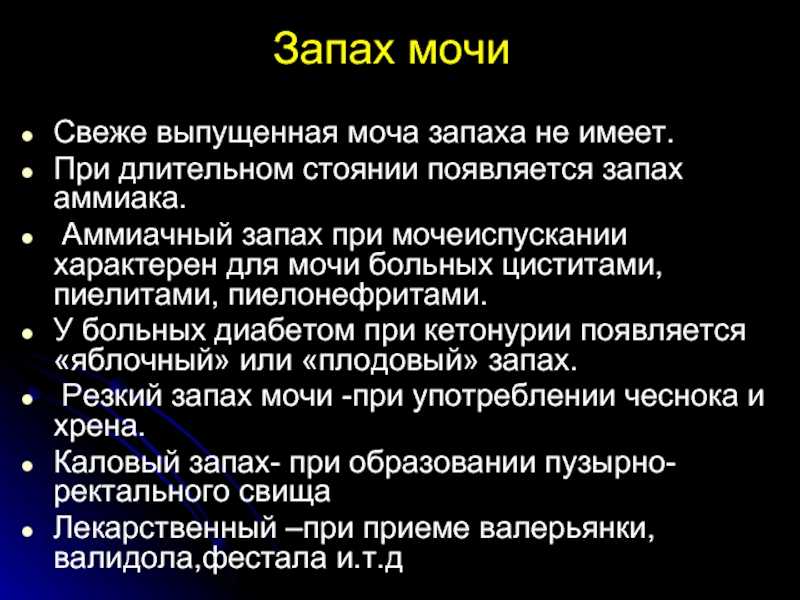 Почему у котов может сильно пахнуть моча: причины вони с аммиаком