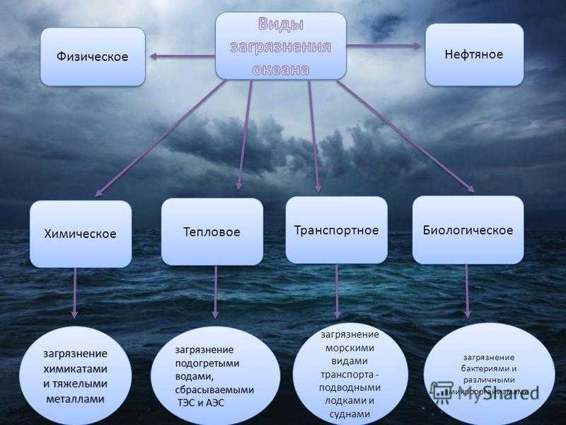 Охрана природы тихого океана — от земли до неба
