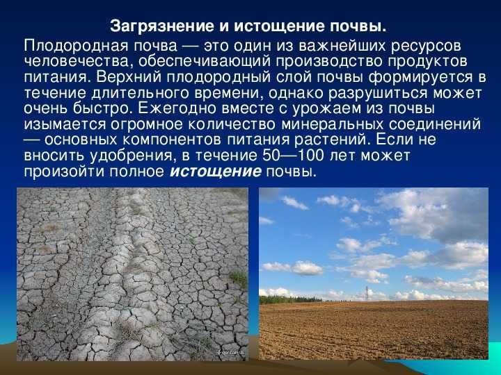 Защита почвы: мероприятия и как рационально использовать