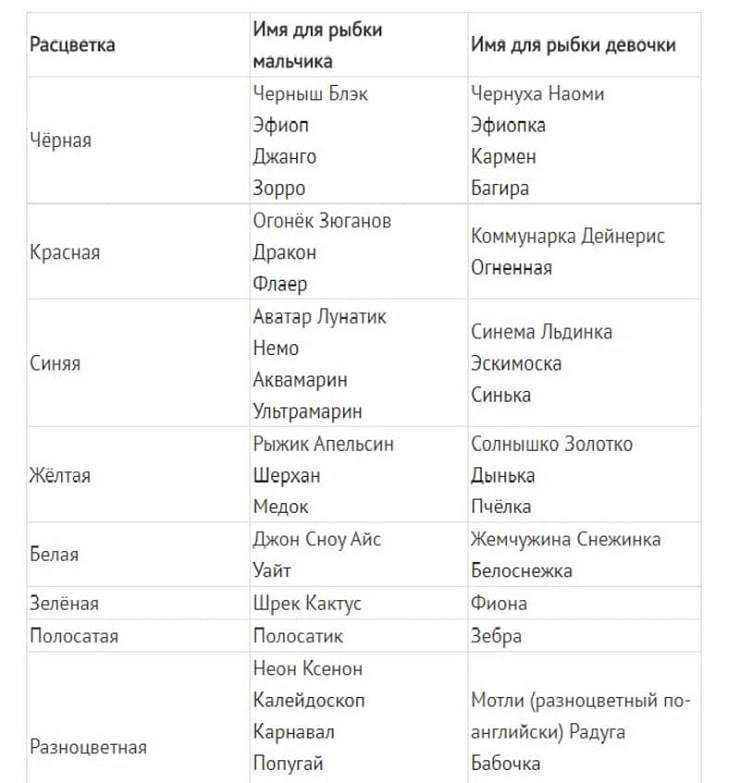 Хотите дать имя любимой рыбке Не знаете какие имена для этого подходят Посмотрите нашу авторскую подборку кличек для аквариумных рыбок