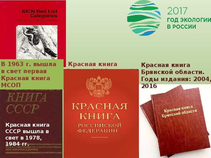 Животный мир брянской области | топ брянск