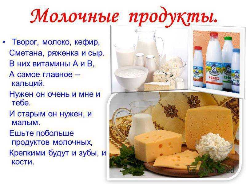 Можно ли собаке давать кефир: польза кисломолочных продуктов, противопоказания