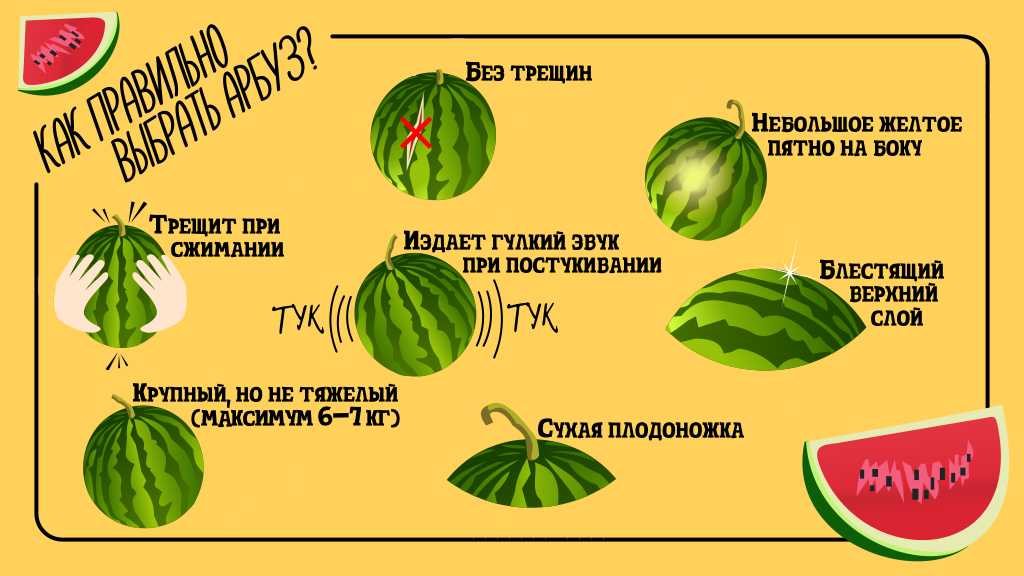 Можно ли собаке арбуз?