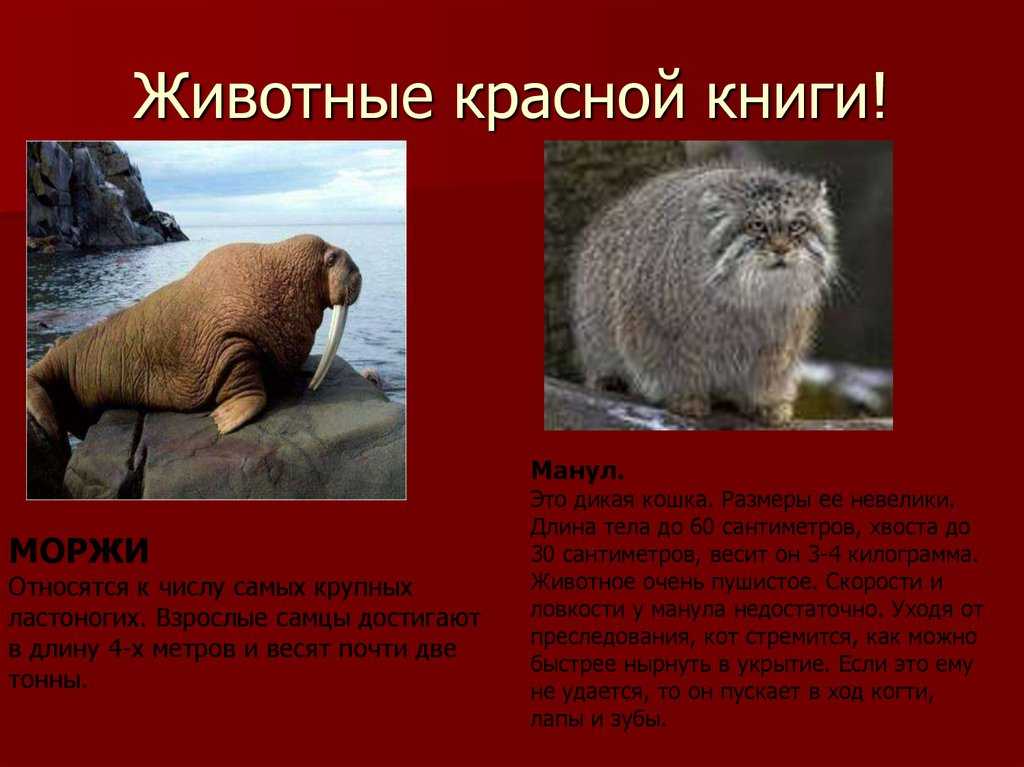 Природа украины