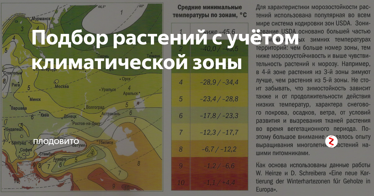 ✅ зоны зимостойкости россии карта - питомник46.рф