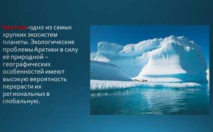 Экологические проблемы в арктике: загрязнение нефтью, потепление