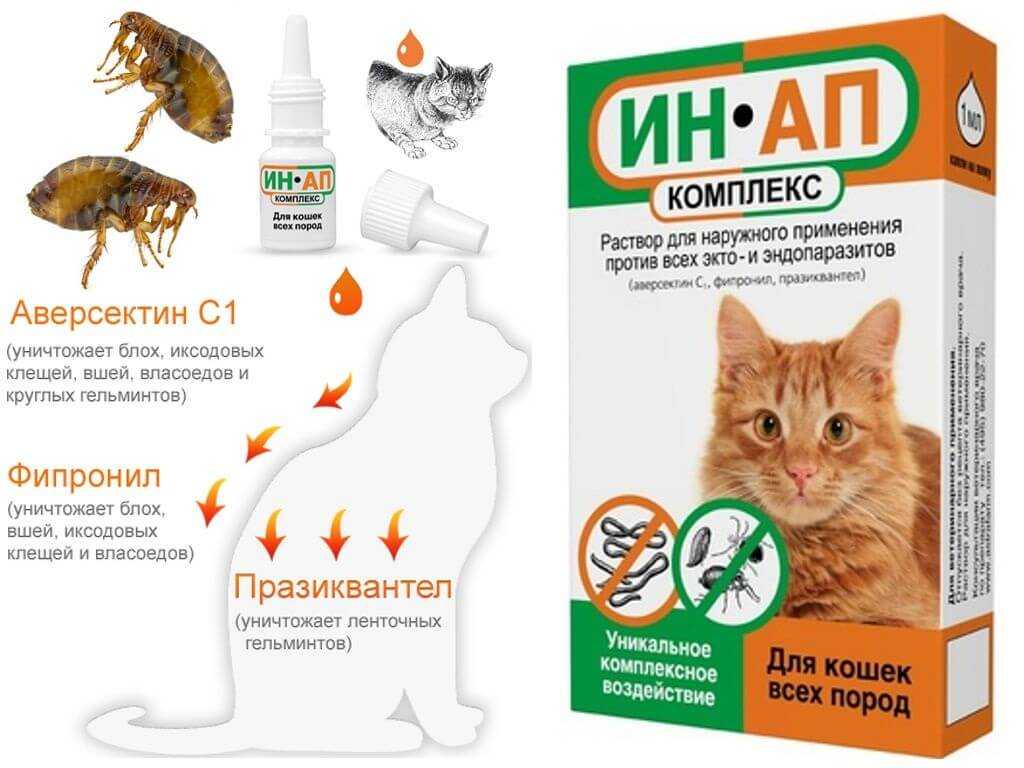 Как правильно капать капли от блох кошке и собаке: инструкция по применению