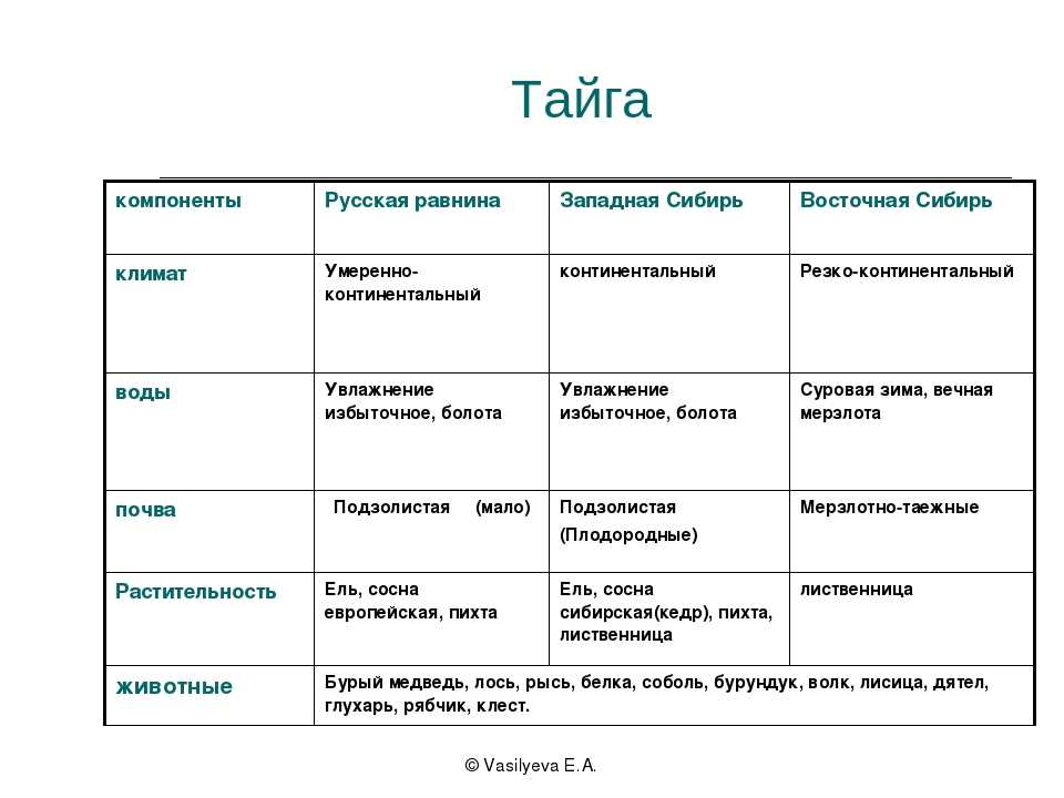 Природная зона тайга