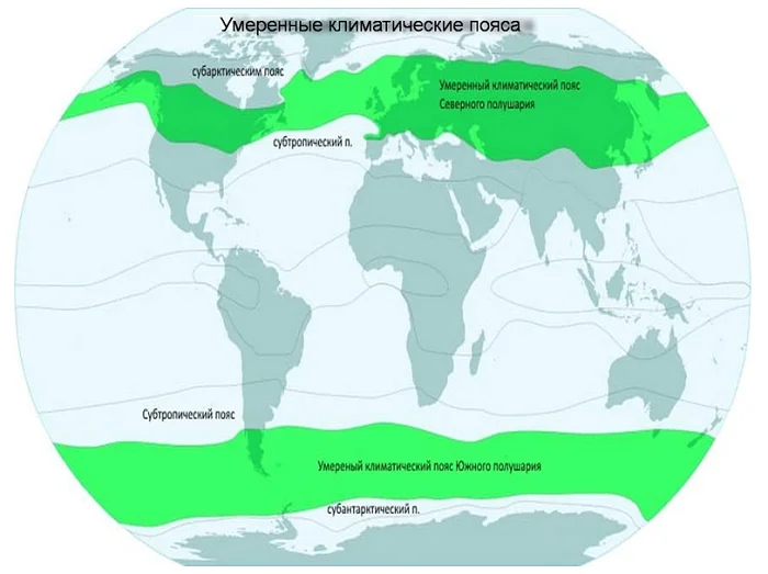 Доклад-сообщение климатические пояса земли 7 класс