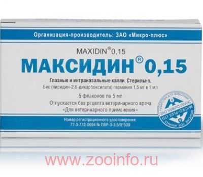 Максидин для собак — описание, инструкция и применение