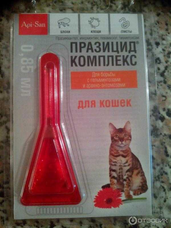 Капли на холку от глистов для кошек - обзор препаратов и нанесение