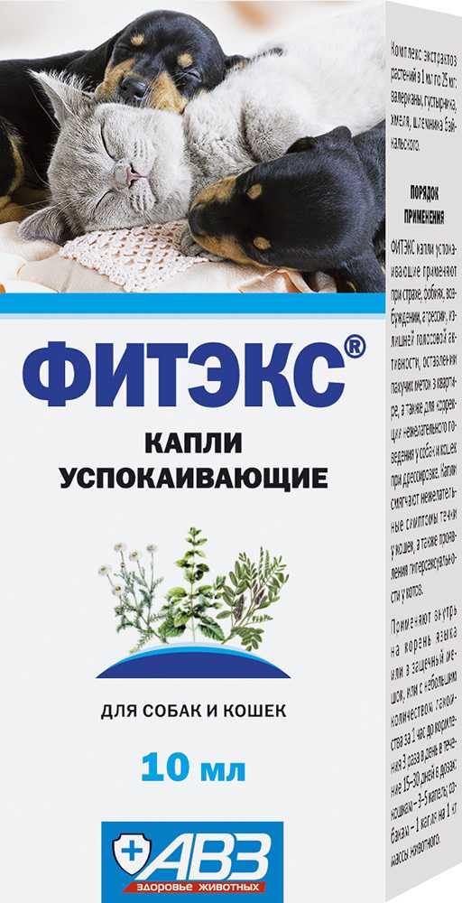 Успокоительные средства для собак: виды, инструкции по применению и отзывы