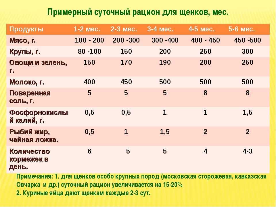 Размеры кокер-спаниеля от щенка до взрослой собаки | звери дома
