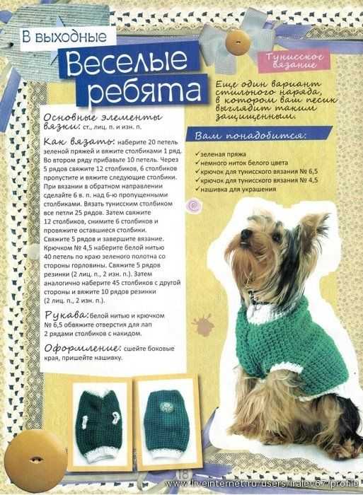 Вязаная одежда для собак — для маленьких пород своими руками