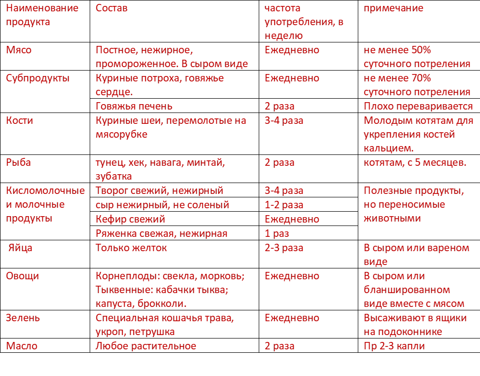 Какие крупы можно давать кошкам: вся польза и вред злаковых