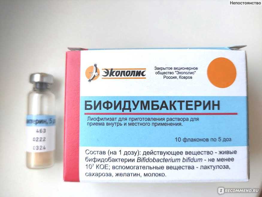 Бифидумбактерин для собак – польза для кишечника