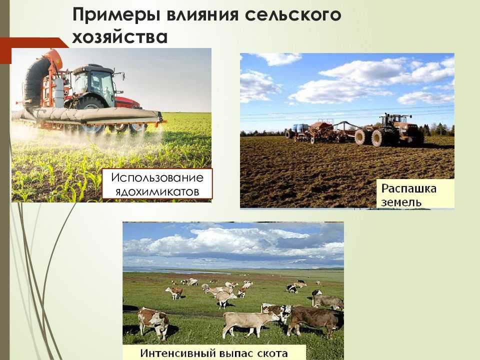 Воздействие сельского хозяйства на окружающую среду - environmental impact of agriculture