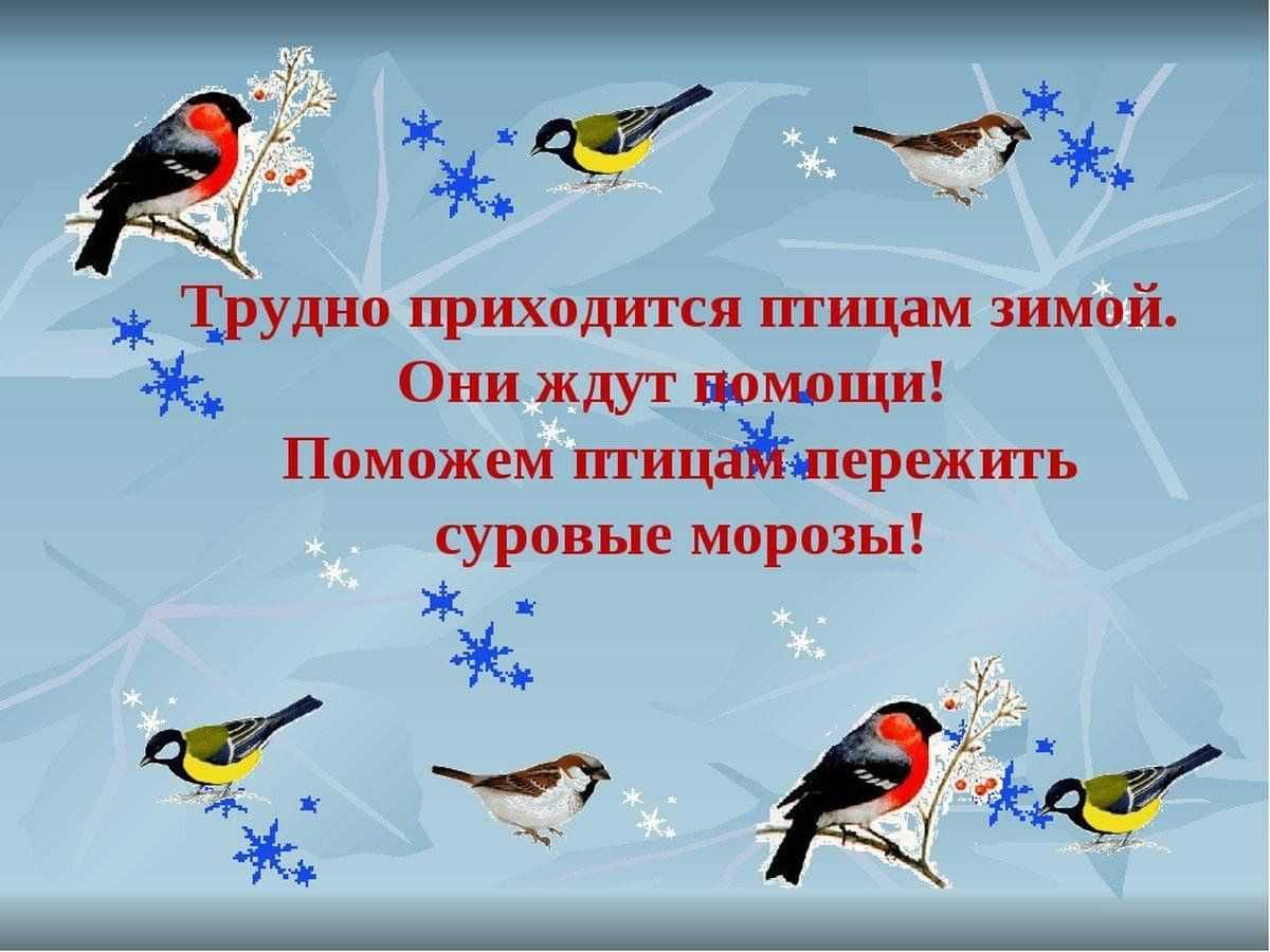 Животные, обитающие в ивановской области