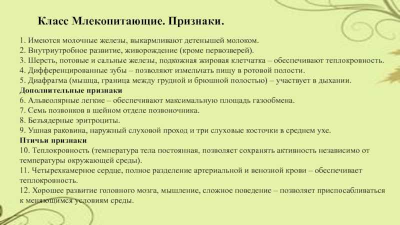 Класс млекопитающие: общая характеристика, строение, роль в природе