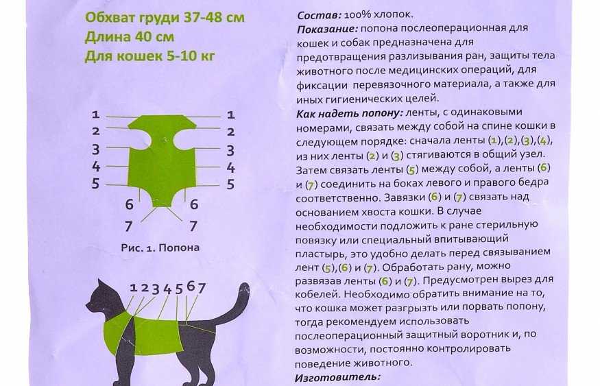 Попона для кошки после стерилизации: как сделать из подручных материалов | звери дома