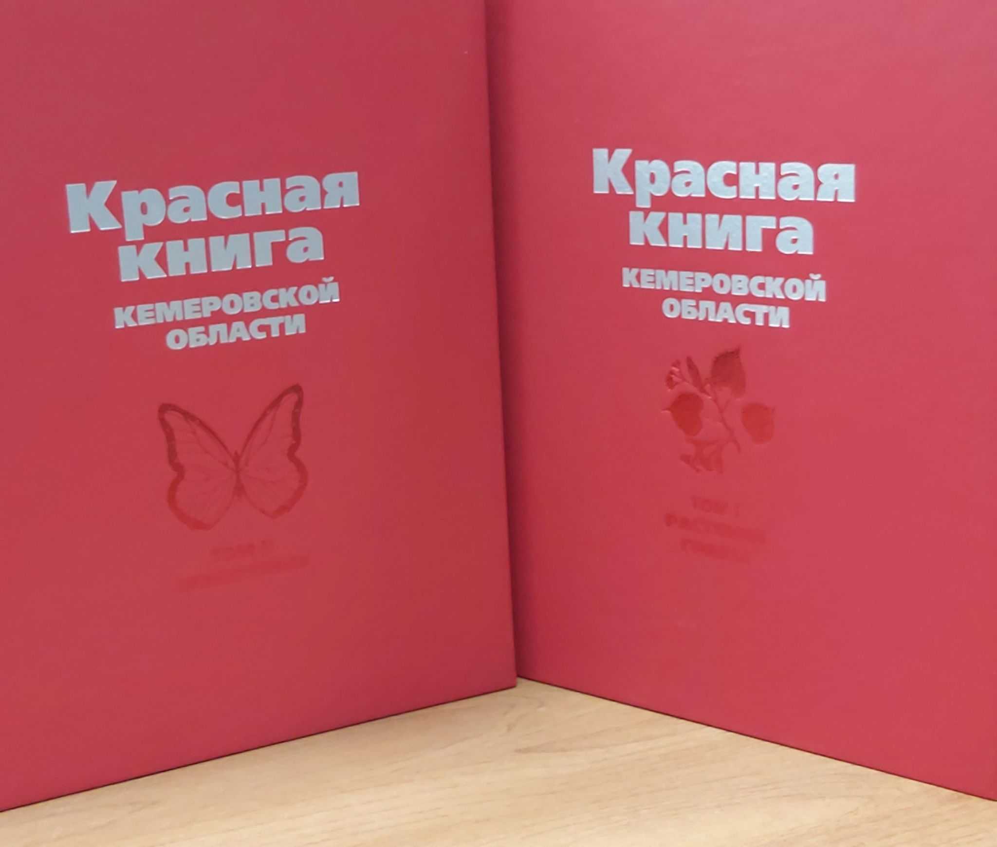 Экология кемеровской области