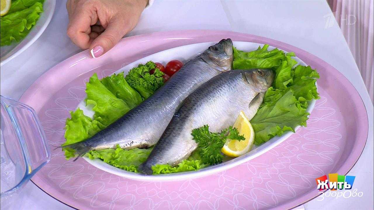 Разрешается ли давать собаке кушать речную вареную рыбу: как правильно