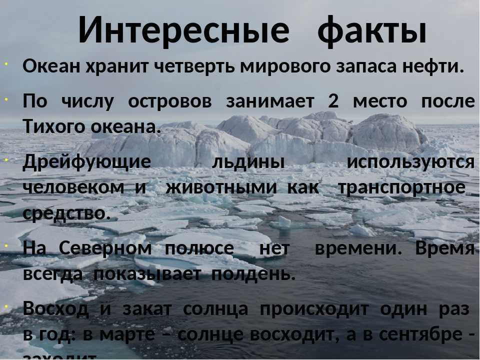 Наш экологический портал  историю исследования и открытия Северно Ледовитого океана