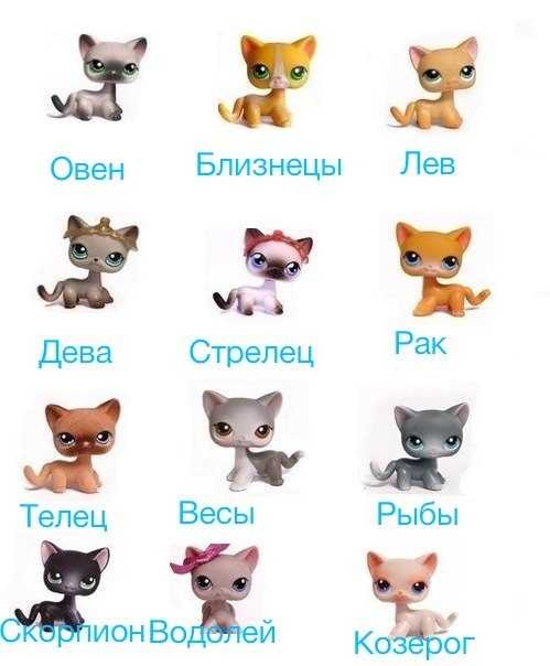 Имена для кошек на корейском и их значение + 100 идей