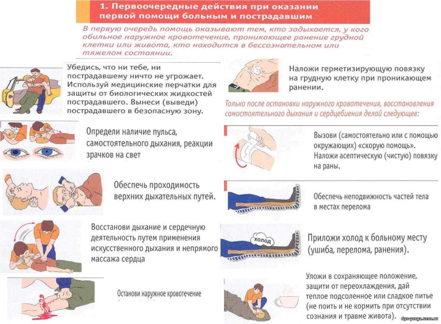 Отравление у кошки — симптомы