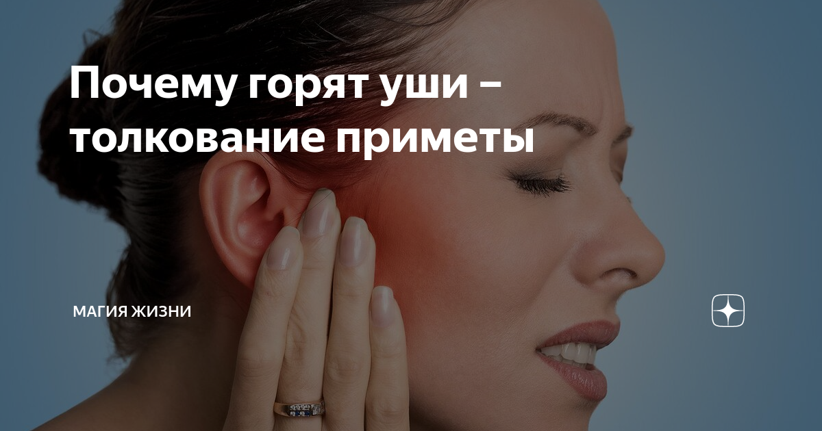 Почему у кошки горячие уши, распространённые причины, видео, советы