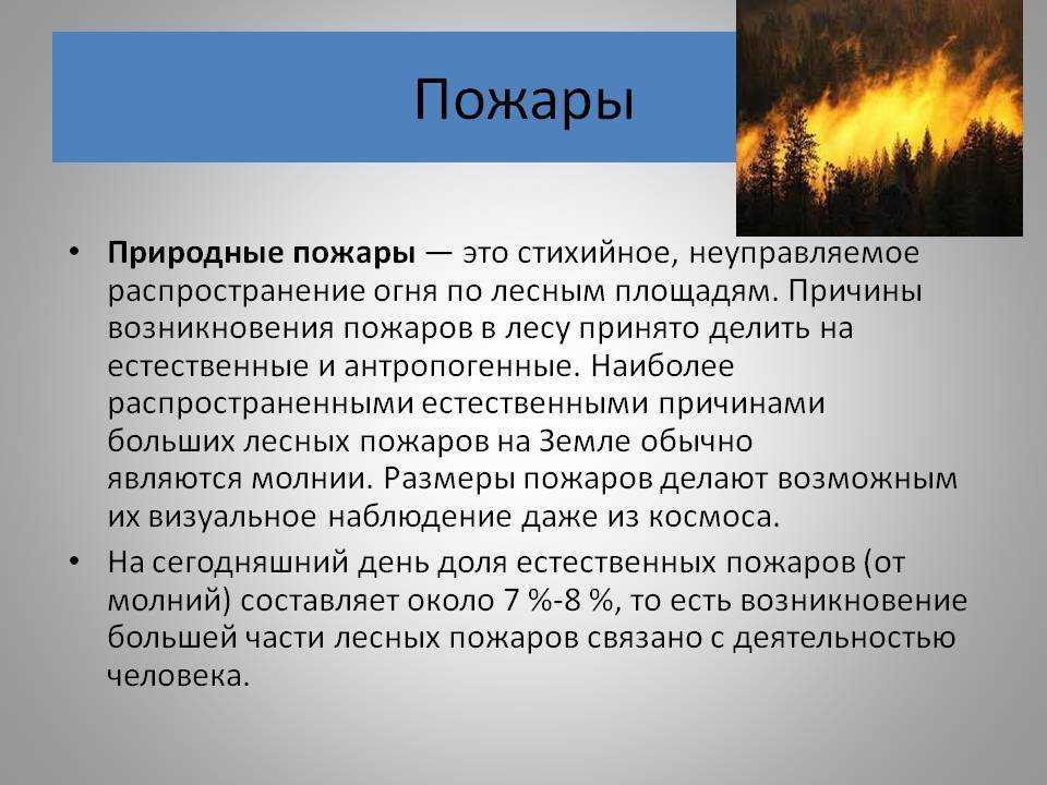 Виды лесных пожаров и их классификация