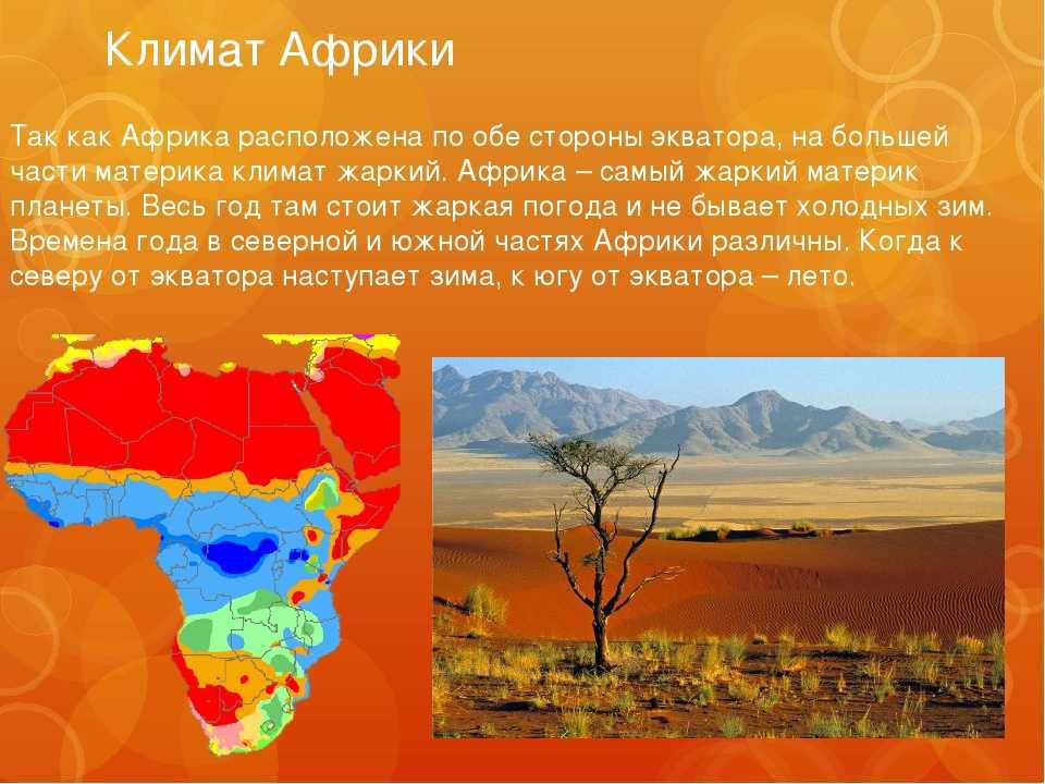 Субэкваториальный пояс осадки. субэкваториальный пояс: особенности и отличия, растительный и животный мир